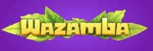 Tipminer blaze double